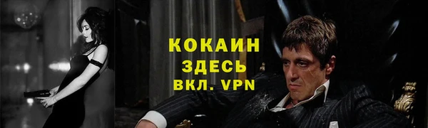 PSILOCYBIN Иннополис