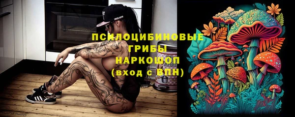 PSILOCYBIN Иннополис