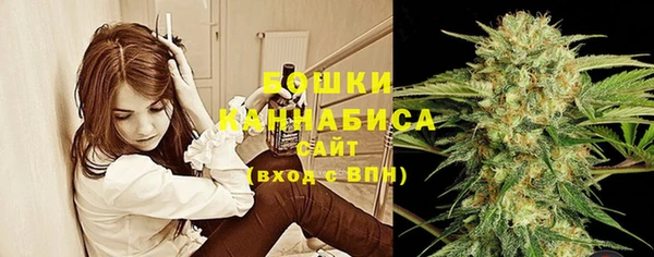 ПСИЛОЦИБИНОВЫЕ ГРИБЫ Зеленокумск