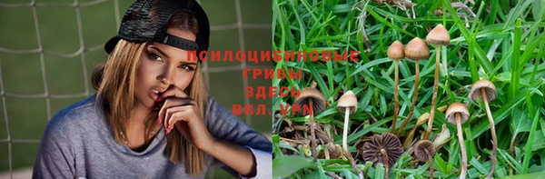 амф Инсар