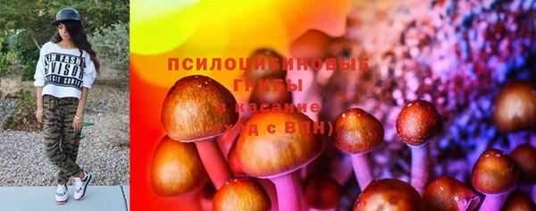 амф Инсар
