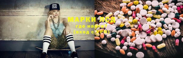 амф Инсар