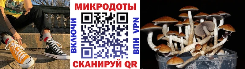 Галлюциногенные грибы GOLDEN TEACHER  Купить где  Горно-Алтайск 